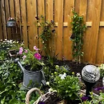 Terrassenblick Apartamento Zulpich