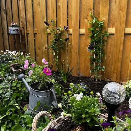 Terrassenblick Apartamento Zulpich