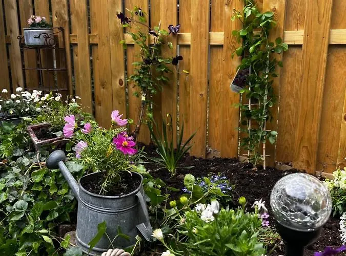 Terrassenblick דירה צולפיך